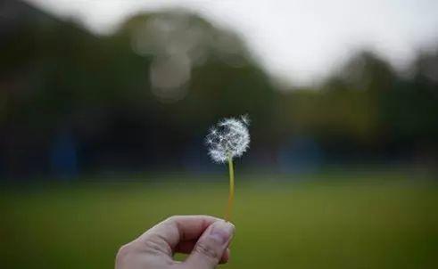 漂亮的背景虛化怎么拍？