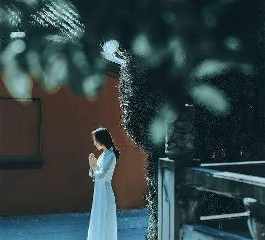 你只管善良，上天自有安排。