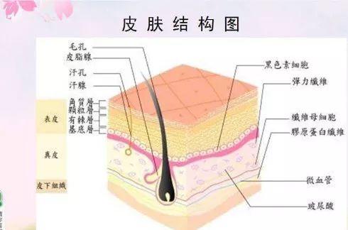 吳越學(xué)校2019新課程發(fā)布會重磅來襲！速來圍觀！