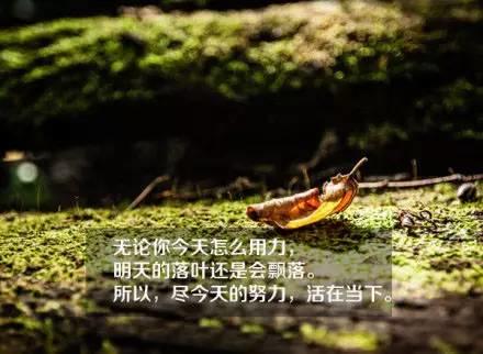 11月，再見！12月，你好！