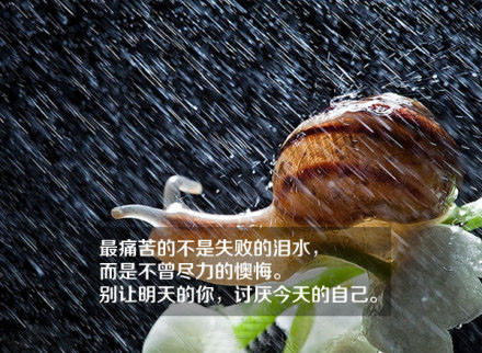 11月，再見！12月，你好！