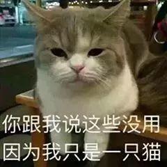 趙麗穎馮紹峰組團(tuán)灑狗糧 時(shí)尚教主結(jié)婚造型仙氣十足