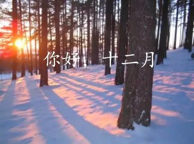 11月，再見！12月，你好！