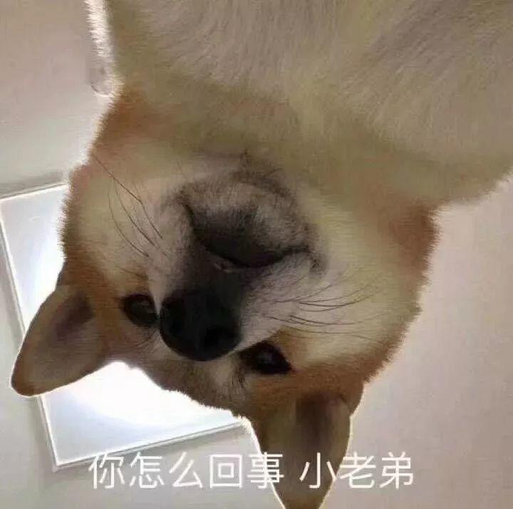 趙麗穎馮紹峰組團(tuán)灑狗糧 時(shí)尚教主結(jié)婚造型仙氣十足
