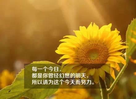 11月，再見！12月，你好！