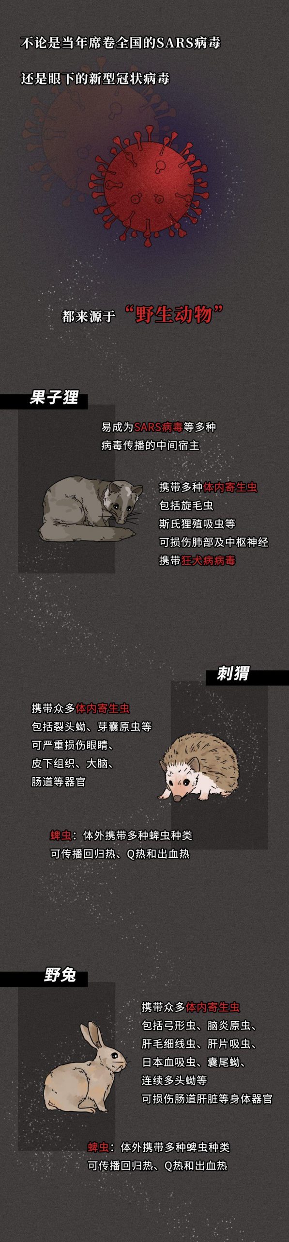 一只蝙蝠的自述在朋友圈火了：千 萬 不 要 吃 野 味 ！