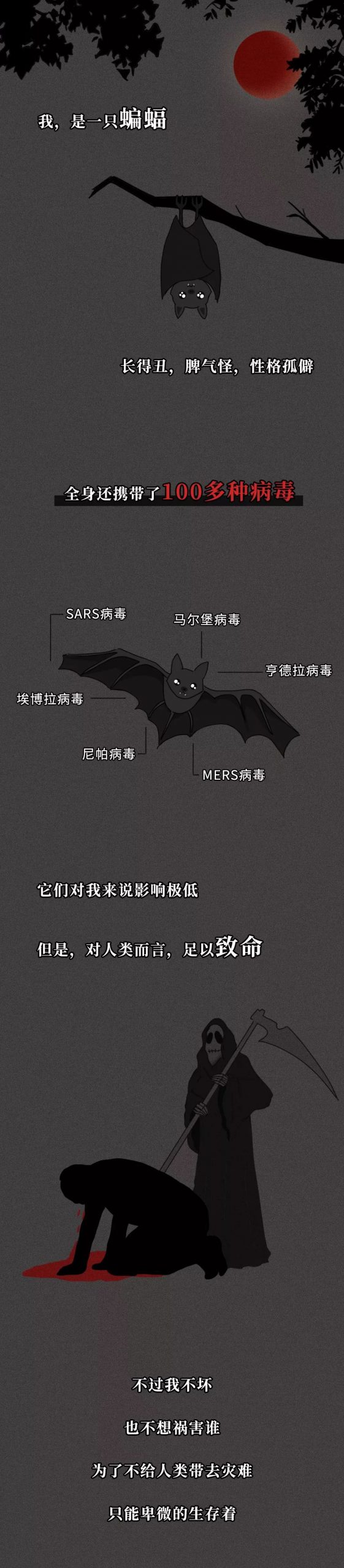 一只蝙蝠的自述在朋友圈火了：千 萬 不 要 吃 野 味 ！