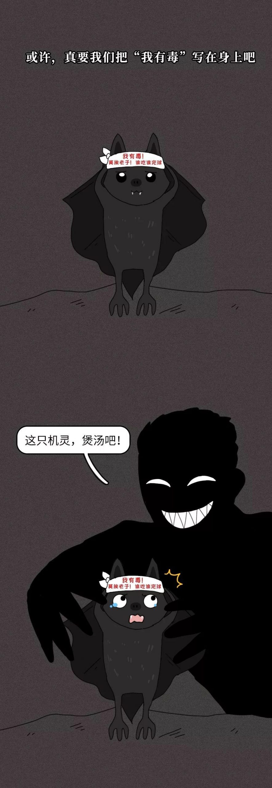 一只蝙蝠的自述在朋友圈火了：千 萬 不 要 吃 野 味 ！