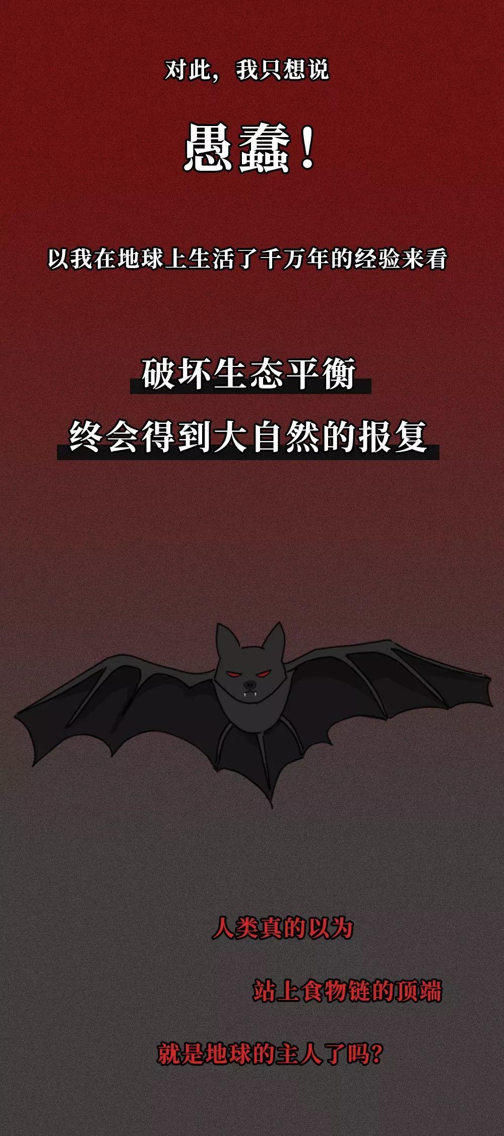 一只蝙蝠的自述在朋友圈火了：千 萬 不 要 吃 野 味 ！
