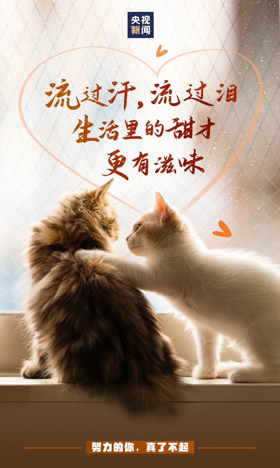 努力的你，真了不起！
